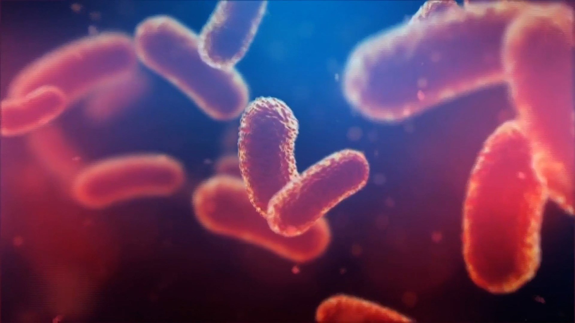 Salud de Condado de Douglas: Vacuna COVID Efectiva