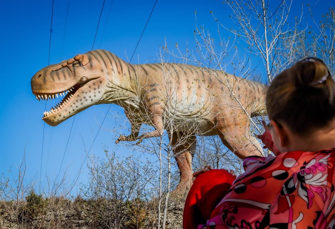 Bienvenidos al Fin de Semana