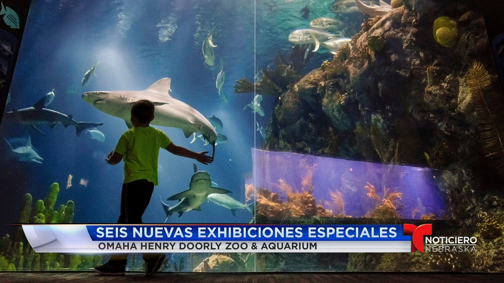 Bienvenidos al Fin de Semana