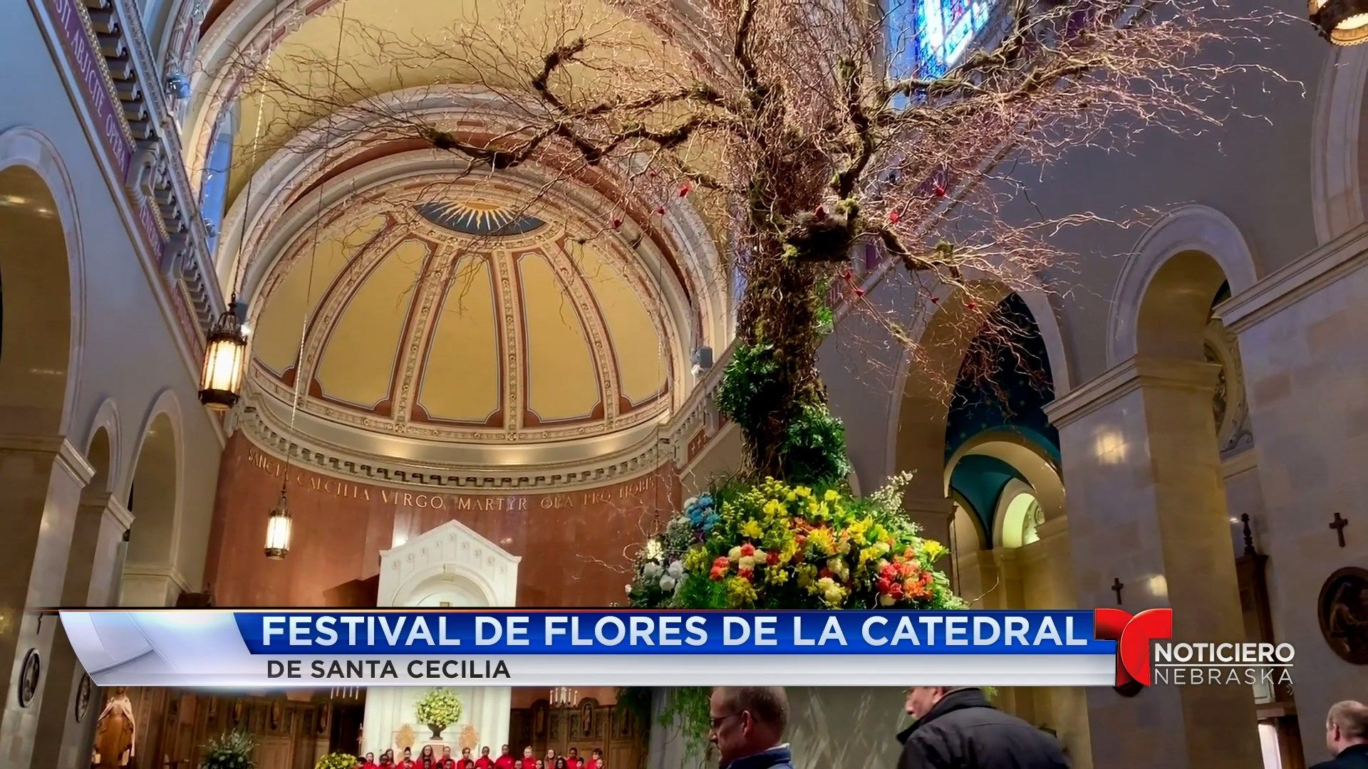 Bienvenido al Fin de Semana -Festival de Flores Catedral Santa Cecilia -Centro Bemis de Arte Contemporáneo -Disney en concierto