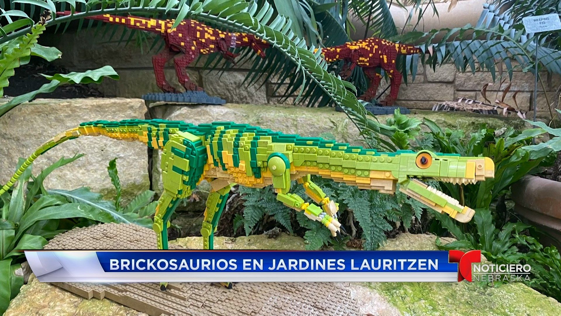 Bienvenido al Fin de Semana -Brickosaurios en Jardines Lauritzen
