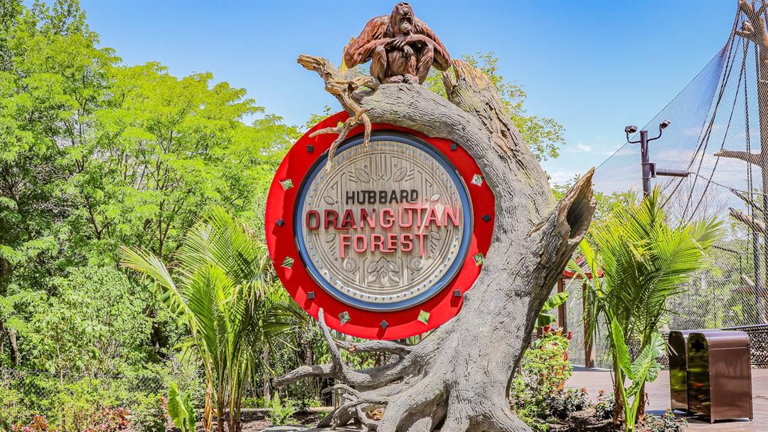 ¡Bienvenidos al Fin de Semana!