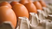 Alerta sanitaria en EE.?UU. por brote multiestatal de Salmonella vinculado a huevos
