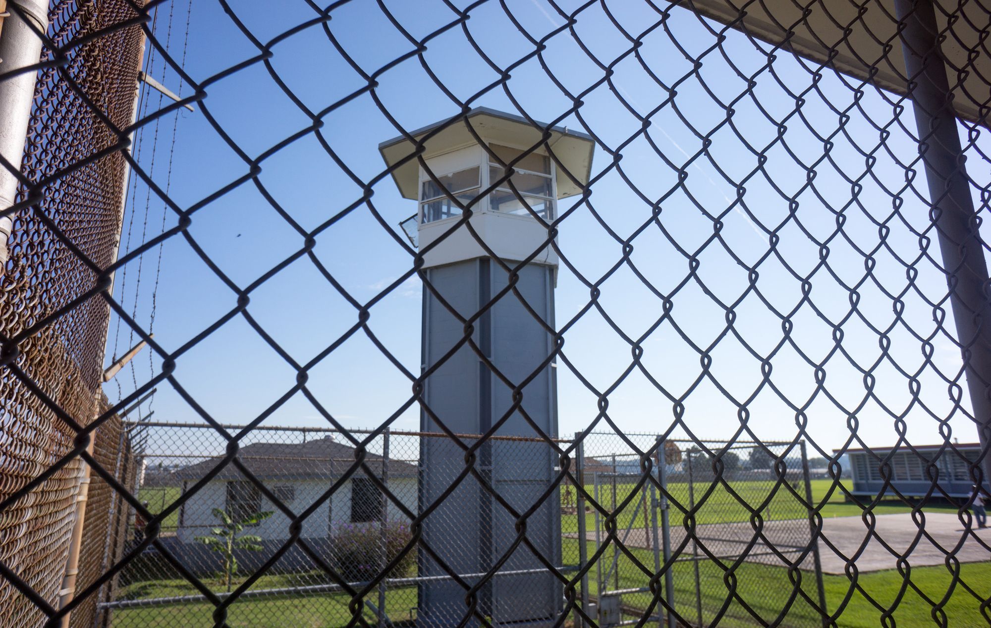 De Alligator Alcatraz a Cornhusker Clink: qué reflejan los nombres de los nuevos centros de detención de migrantes en EE.UU.