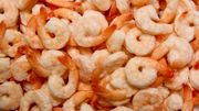 FDA advierte sobre riesgo en camarones congelados importados desde Indonesia