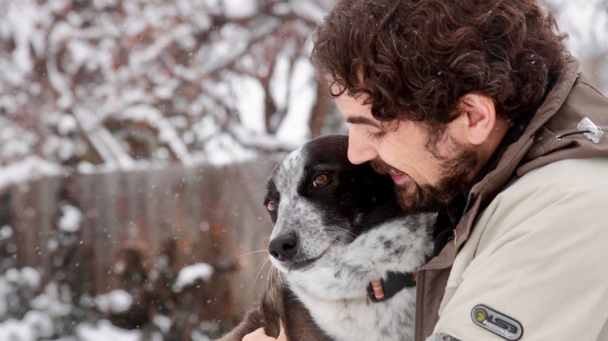 Protege a tus mascotas este invierno: recomendaciones para mantenerlas seguras y cálidas